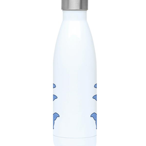 Dolphin Crew 500ml Water Bottle Front